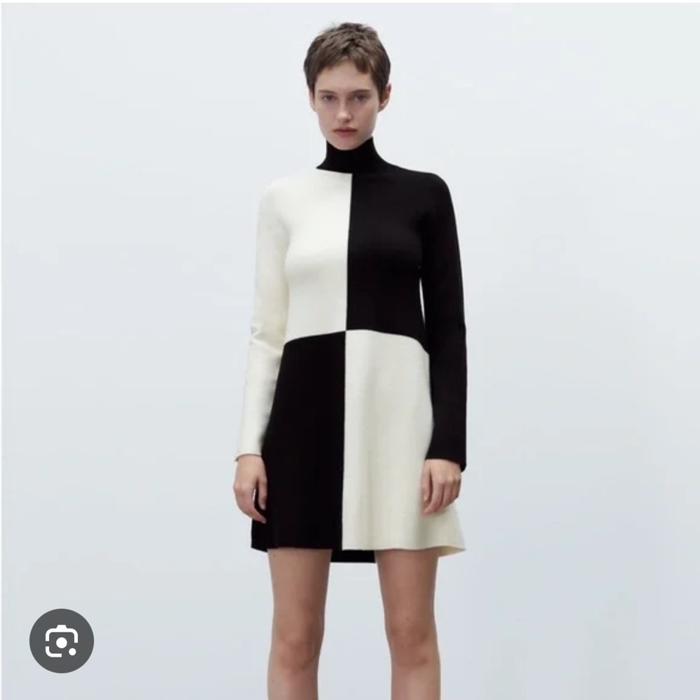 Zara Mod Sweater Dress